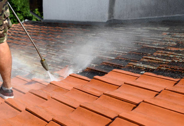 Best Commercial Building Pressure Washing  in Greenville, NY