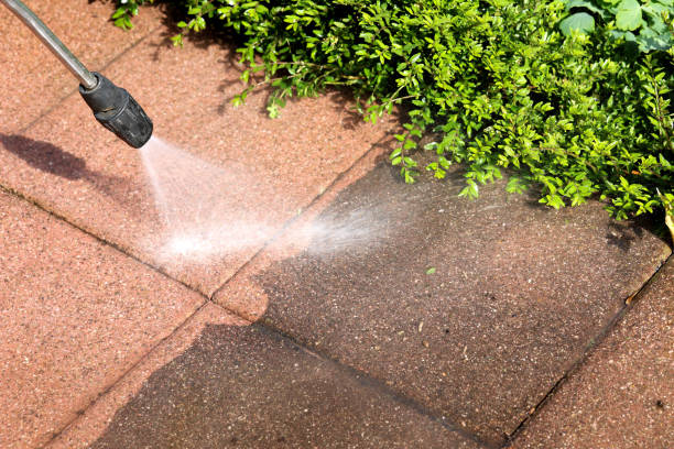 Best Roof Power Washing Services  in Greenville, NY